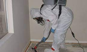 When Should You Schedule a Mold Inspection in Dallas?